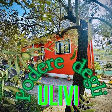 Вилла Podere Degli Ulivi Family Serravalle Pistoiese Экстерьер фото