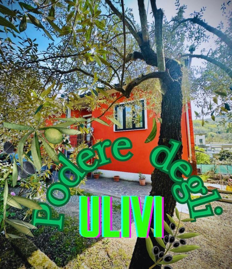 Вилла Podere Degli Ulivi Family Serravalle Pistoiese Экстерьер фото