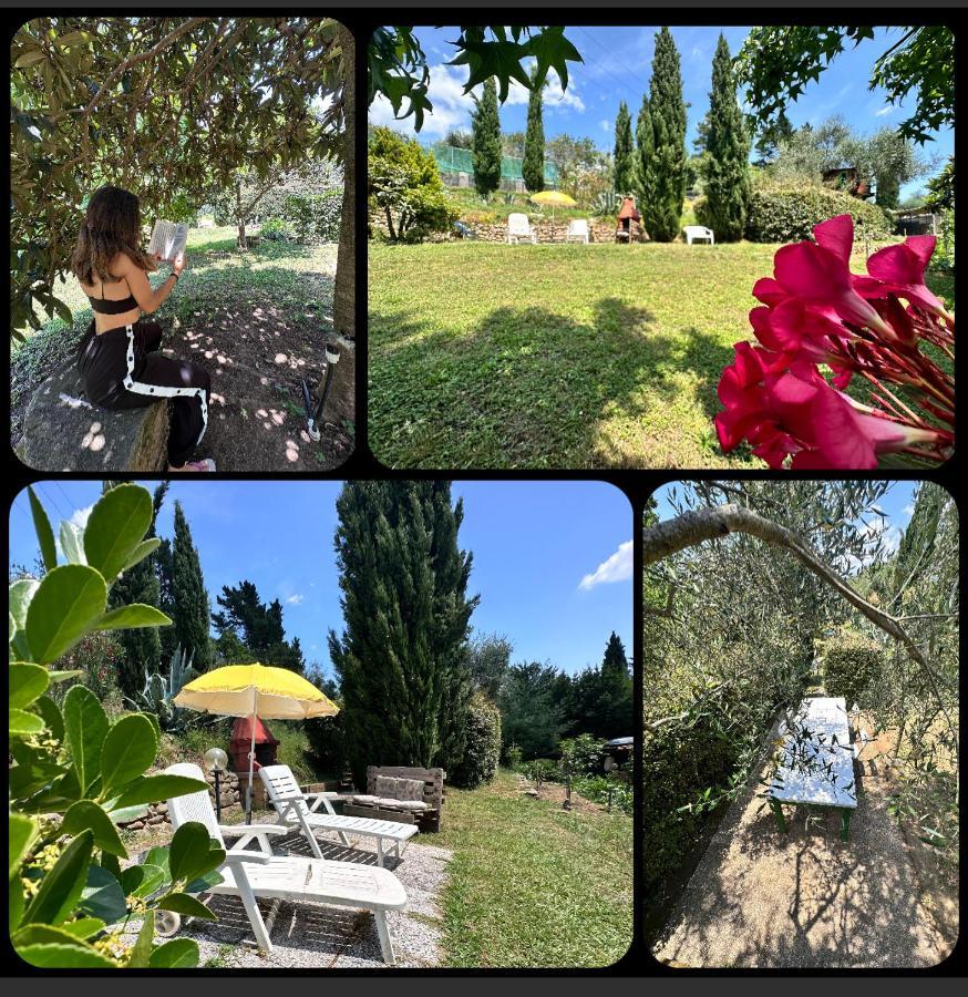 Вилла Podere Degli Ulivi Family Serravalle Pistoiese Экстерьер фото